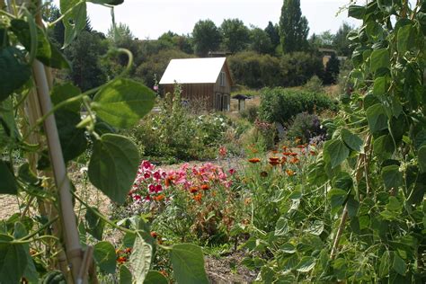 Pullman craigslist farm and garden. pullman-moscow farm & garden "plants" - craigslist 