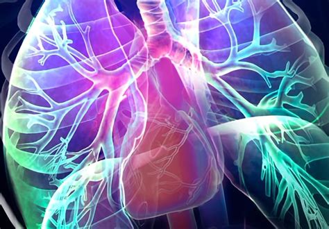 Pulmonary Function Laboratories Overview Mayo Clinic