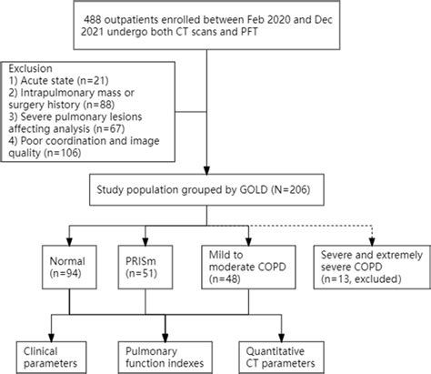 Pulmonary function tests and GOLD classification. Download Scientific