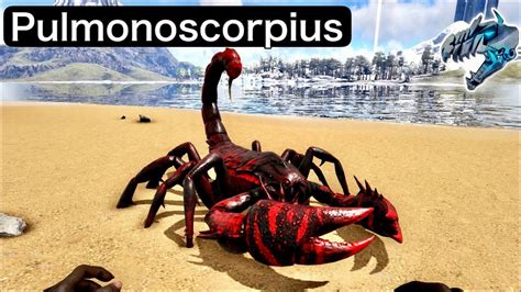 The Pulmonoscorpius in ARK: Survival Evolved is a giant scorpion that can stun almost every other creature in the game using its venom, which it injects into …. 