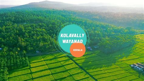 Pulpally Kerala Postal Code: Pulpally Pin Code: 9. Pulpally, Sulthanbathery, Calicut 9. Pulpally Pin Code: 9. Pulpally, Sulthanbathery, Calicut image 1
