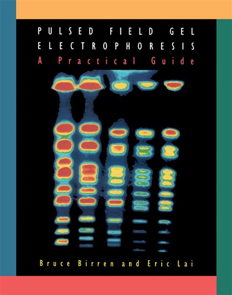 Pulsed field gel electrophoresis a practical guide by bruce birren 1993 04 11. - Study guide for cosmetology managers license.