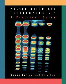 Pulsed field gel electrophoresis a practical guide paperback 1993 by bruce birren. - Arquitectura y urbanismo hispanoamericano en luisiana y florida occidental.