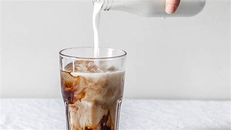 Pumpkin Hazelnut Collagen Cold Brew Latte - Further Food