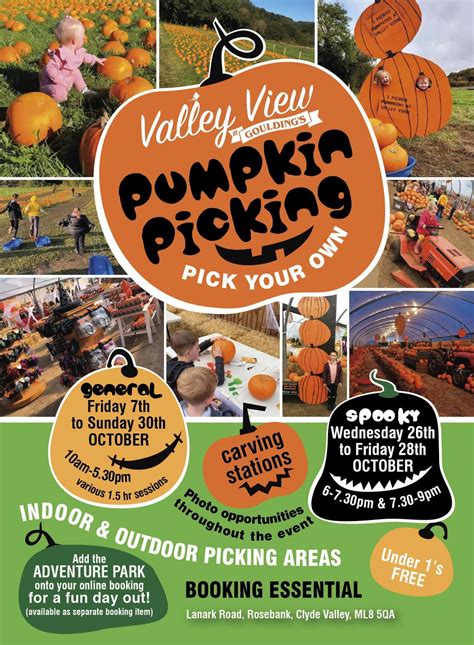 Pumpkin Picking at Valley View - Valley Farm at Gouldings