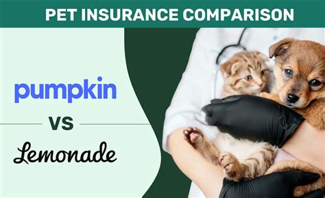Pumpkin Vs Lemonade Pet Insurance