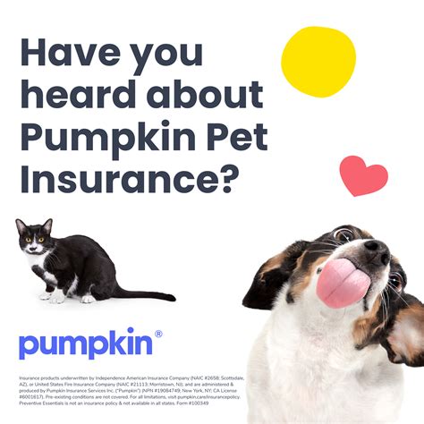 Pumpkin care.  Call 1-866-2736-369, email help@pumpkin.  Considering pet insur...