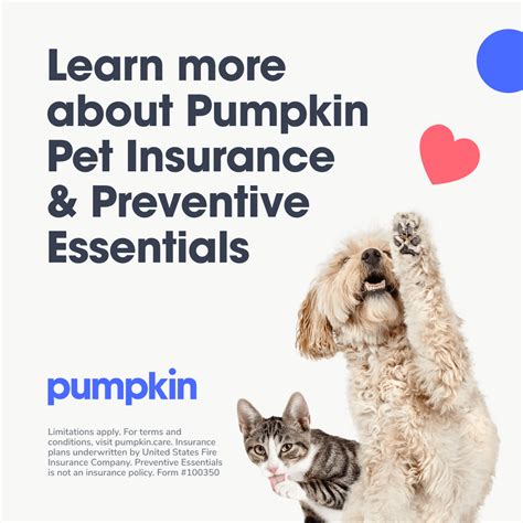 Pumpkin pet insurance. It’s not insurance, but an optional benefit you can add to your Pumpkin plan. Preventive Essentials gives pet parents a 100% refund for three crucial routine services all pets need: their annual wellness exam fee, key vaccine (s), … 