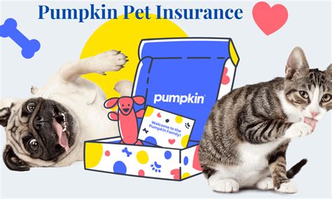 Pumpkin pet insurance reviews. 4. 997. Updated: November 13, 2023. Pumpkin is a pet care company on a mission to make the best pet care possible fur all. Pumpkin was started after its founders took a look at other pet insurance options on the market and found that some were missing one crucial component – preventative care. Pumpkin believes all parents should be able to ... 