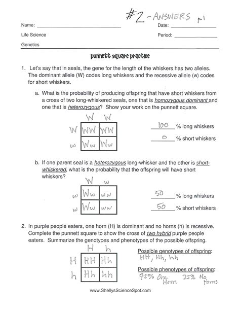 Punnett Square Worksheet With Answers