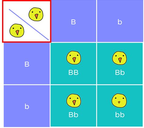 Punnett square example. Things To Know About Punnett square example. 