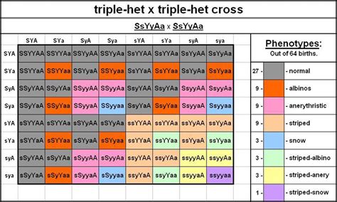 Punnett square with 3 traits. Hemophilia, an X-linked recessive trait, affects blood clotting. A carrier woman and a hemophiliac man have a 50% chance of having a daughter with hemophilia. This is … 
