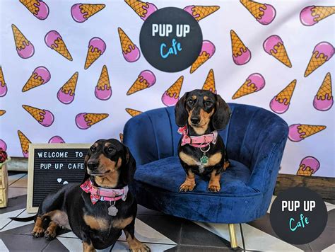 Pup Up Cafe - Facebook