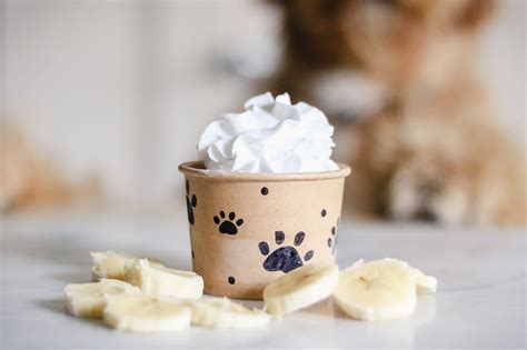 What are pup cups made of? Pup cups are made with just dairy whipped cream Small quantities of milk products are typically safe for dogs but it’s always a good idea to check with your vet. Every dog is different and some have digestive issues or are sensitive to dairy. In this case it’s best not to serve your dog this treat.. 