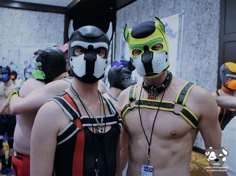Pup gay porn. Things To Know About Pup gay porn. 