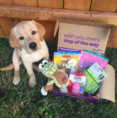 Pupbox. PupBox helps guide you through the process with monthly boxes filled with high quality toys, training instructions, treats, and puppy accessories based on your puppy’s age and current stage of development. All boxes are custom made for your pooch, with handpicked items based on their needs, personality and physical characteristics. ... 