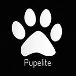 🔥 Pupelite Onlyfans Leaked XXX