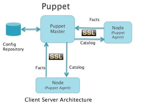 Puppet agent run.  Puppet Dry Run: puppet agent --noop --verbose Disable agent puppet agent ...
