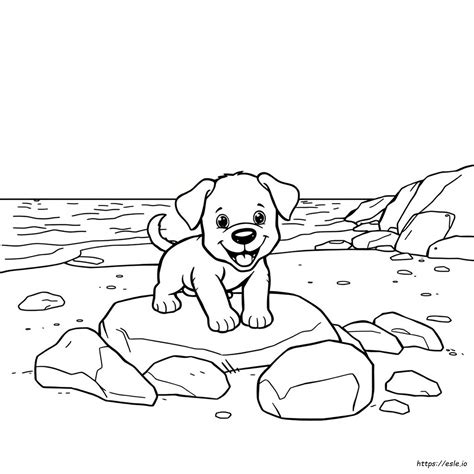 Easy Coloring Book For Adults