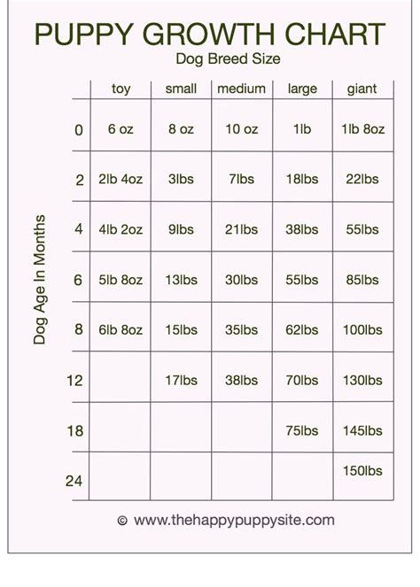 Puppy Development Stages with Growth Charts and Week by Week Guide
