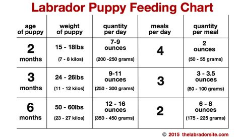 Puppy Feeding Chart Labrador