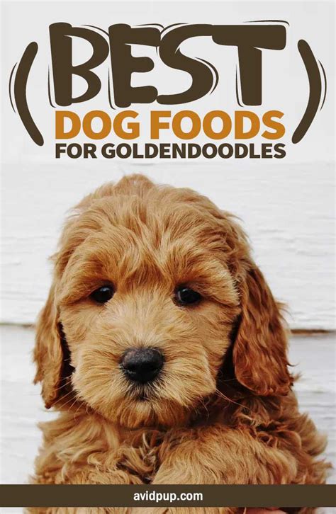 Puppy Food For Mini Goldendoodle