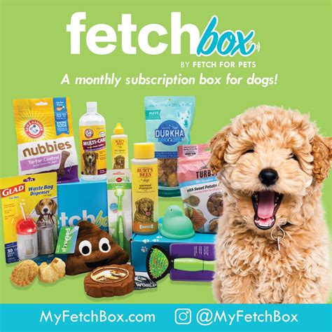 Puppy Monthly Subscription Boxes