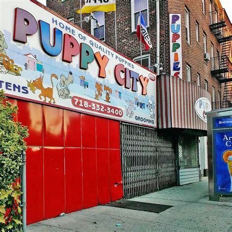 Puppy city. Things To Know About Puppy city. 
