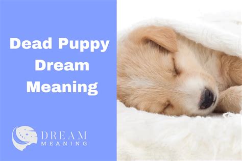 Puppy dream meaning. During sleep, your mind keeps working while your body is at rest, creating dreams in the process. If you wake up one morning with a strong memory of a dream, you might wonder if it... 