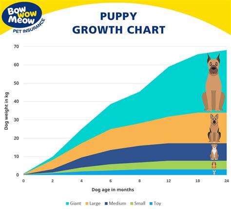 Puppy growth chart. Free of charge growth charts, scientifically developed by vets and scientists using data from 50,000 healthy dogs. Alerts if your puppy isn't growing as expected. Your puppy’s ideal adult weight. 10 different growth charts across five size groups,for male and female dogs up to 40kg (adult weight) Suitable for pure and mixed breed dogs. 