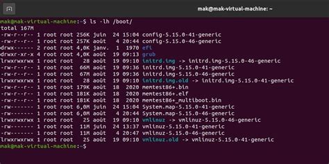 Puppy linux.  Paso 1 Selecionar FETCH.  Its components (vmlinuz, initrd.  Thousa...