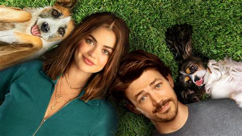Puppy love 2023. You can watch and stream Puppy Love online on Amazon Freevee. Puppy Love’s cast includes Lucy Hale as Nicole Matthews, Grant Gustin as Max Stevenson, Jane Seymour as Diane Matthews, Michael ... 
