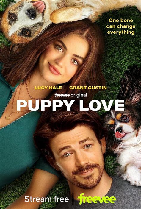 Puppy love 2023 parents guide. Things To Know About Puppy love 2023 parents guide. 