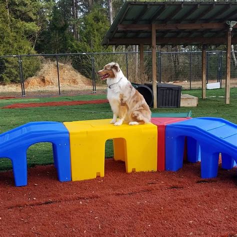 Puppy playground. Welcome to the Puppy Playground! Our unique daycare and boarding facility will quickly become your dog’s favorite place to be! We have multiple playgrounds sectioned off outside for our guests to play with friends all day. If the weather is bad or gets too hot, we have a temperature controlled indoor facility for our guests to play or just ... 