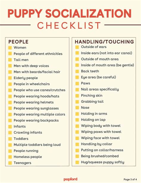 Puppy socialization checklist. The Social Schedule is a comprehensive socialization list. This list is broken down into categories to ensure your range is extensive. Your puppy should experience a wide variety of … 