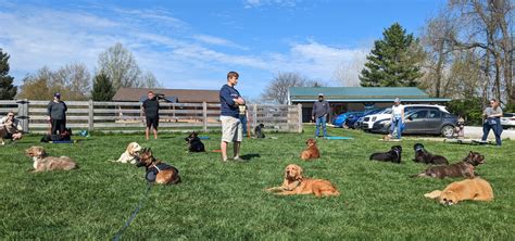 Puppy training in columbus. Schedule a dog training class at Petco Columbus, IN! Services include group classes from $149 - $379, private lessons, & certification programs. 