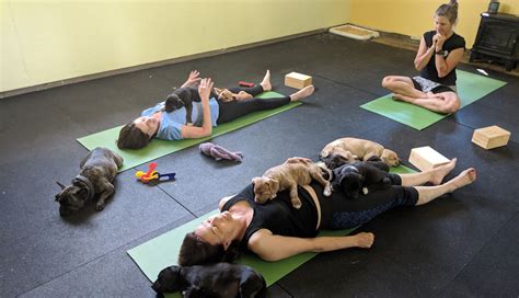 Puppy yoga nyc. h1 { font-family: 'Braveold'; font-weight: 700; font-style: italic; font-size: 16px; letter-spacing: 0.1em; text-transform: uppercase; line-height: 1em; } h2 { font ... 
