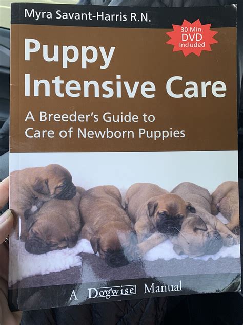 Full Download Puppy Intensive Care  A Breeders Guide To Care Of Newborn Puppies By Myra Savantharris