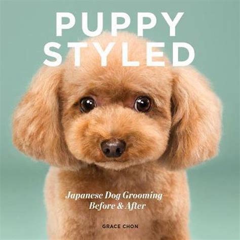 Download Puppy Styled Japanese Dog Grooming Before  After By Grace Chon
