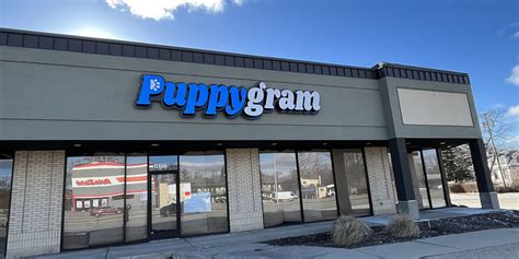 Puppygram detroit berkley reviews. Mar 7, 2023 · BERKLEY, Mich. (FOX 2) - Dog talk had its day in Berkley during a packed City Council meeting Monday night. Local officials debated on whether to pass a law banning pet stores from selling dogs... 
