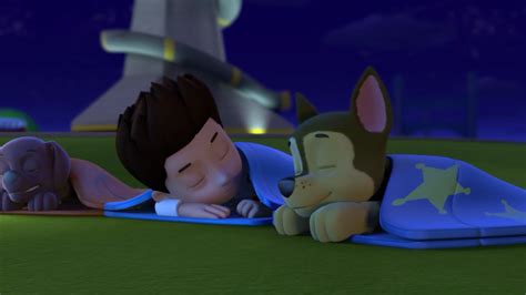 Pups in a Fog/Quotes PAW Patrol Wiki Fandom