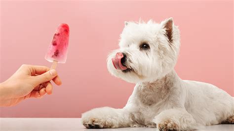 Pupsicle. Fro-Yo pupsicle with pretzel sticks. Dogs won't be able to resist the fresh fruit in this tasty pupsicle, courtesy of Rover.. Ingredients: ½ cup chopped strawberries ½ cup blueberries Half a ... 