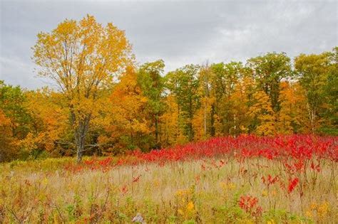 Purchase of County Land Douglas County, WI - Official …