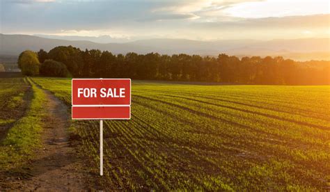 Purchasing land as an investment. Things To Know About Purchasing land as an investment. 