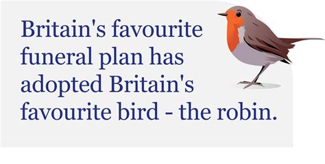 Pure cremation robin.  A &lsquo;direct cremation&rsquo; &ndash; also known as a simple or unatten...