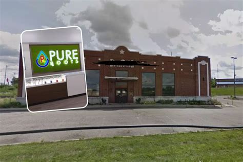 Pure roots battle creek mi. A former Don Pablo's Mexican restaurant in Battle Creek that has been vacant for nine years will soon be reborn as Michigan's largest cannabis dispensary. Pure Roots is behind the $5.6 million ... 