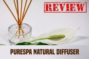 PureSpa Natural Diffuser Review - AromaHunter