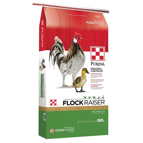 Purina chicken feed no eggs. Feed Purina Layena Pearls Extruded Layer Feed free-choice as the sole ration to laying chickens after 18 weeks of age and throughout the laying cycle. It is not necessary to provide additional grain or free-choice calcium. Purina layer feeds should not be fed to male birds or any age or to birds less than 18 weeks old. 