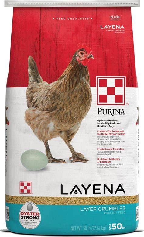 Purina chicken feed scandal. Eggs are the hallmark of most backyard flocks. Layer Feed Protein Laying chickens do lay on 14-17% protein levels. However, they don't thrive. Most layer pellets have around 16% protein- not formulated for increased egg size.Hens fed with higher protein levels (around 20 and 22%) often lay bigger eggs, over a long period of time. 