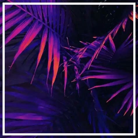 Purple Aesthetic Wallpaper APK for Android Download - Apkpure